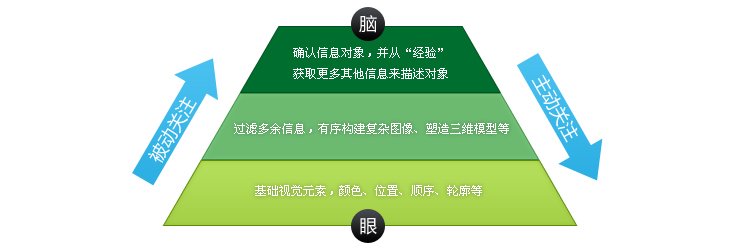 視覺注意力—解剖設(shè)計(jì)的根源