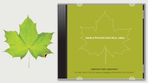 如何創(chuàng)作簡(jiǎn)潔的“一線式”設(shè)計(jì)