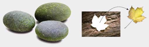 版面排版的五個(gè)技巧