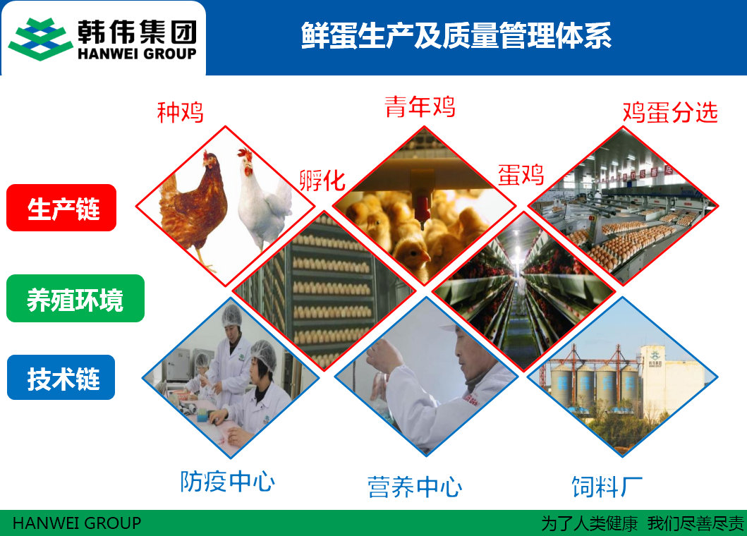 韓偉集團(tuán)鮮蛋生產(chǎn)及質(zhì)量管理體系 韓偉集團(tuán)鮮蛋生產(chǎn)及質(zhì)量管理體系