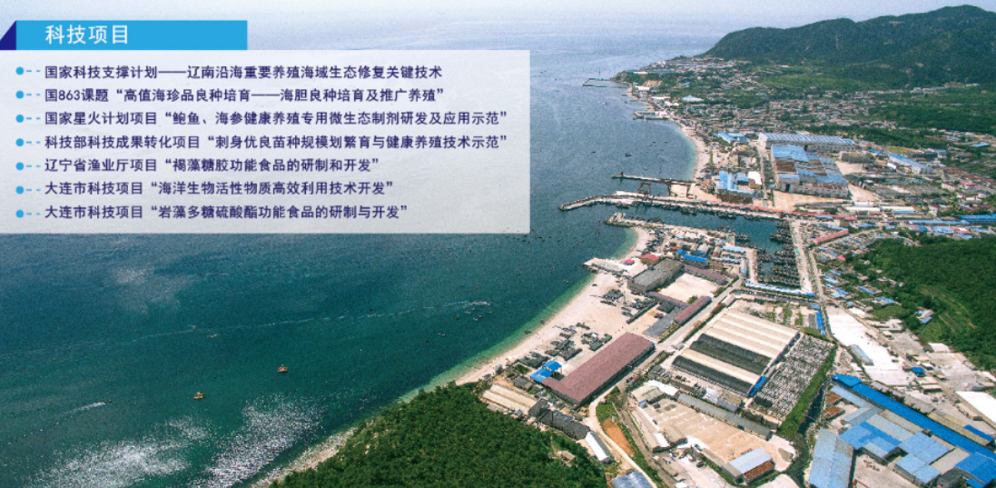 韓偉集團(tuán)科技項(xiàng)目 韓偉集團(tuán)科技項(xiàng)目