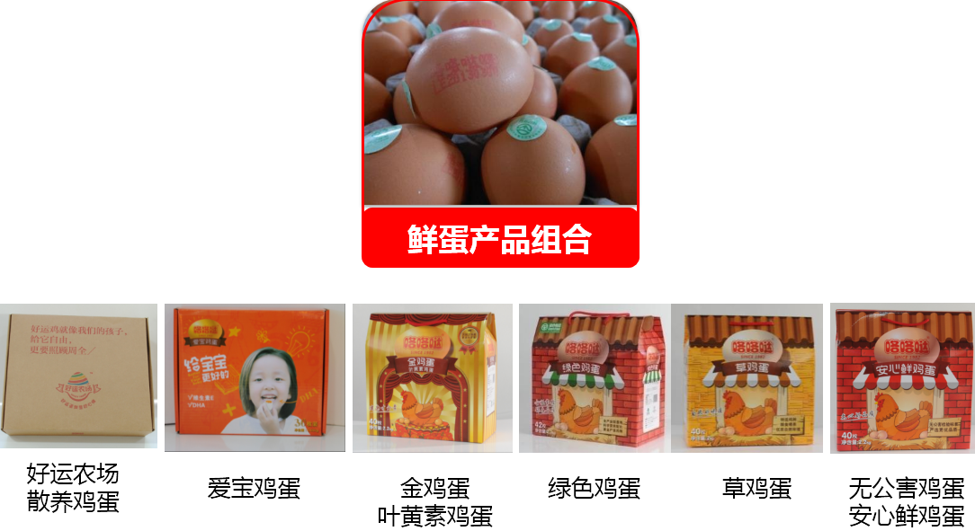 韓偉集團(tuán)鮮蛋產(chǎn)品組合 韓偉集團(tuán)鮮蛋產(chǎn)品組合